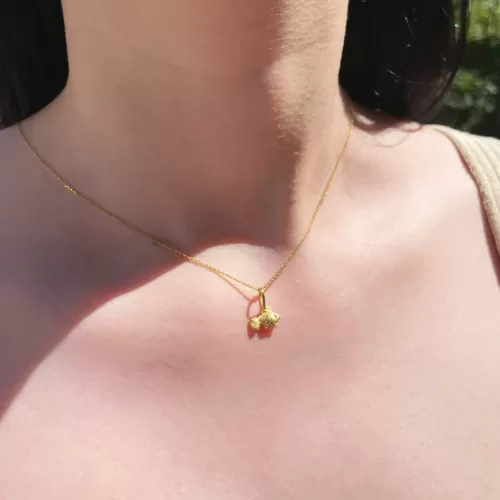 plata .925 baño de oro